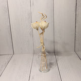Floral & Spiral Reeds